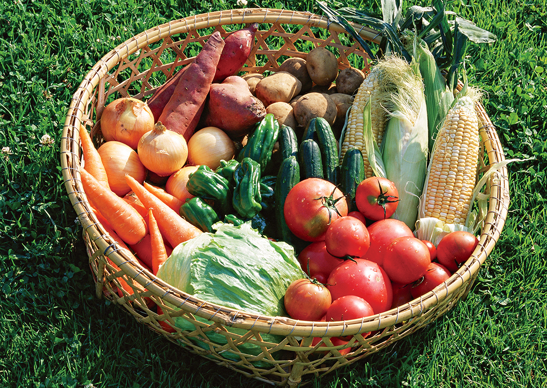 天冷市集，健康蔬果，蔬菜，農作，台中，東勢，軟埤坑